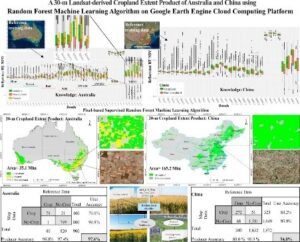 Image Processing Mapping
